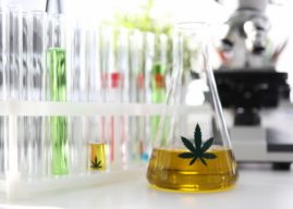 9 Scientific Facts to Know About Cannabis Oil and Cancer